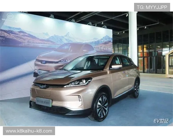 凯发备用登陆免费下载助力平台扩大用户基础实现持续稳步增长 凯发备用登陆免费下载助力平台扩大用户基础实现持续稳步增长