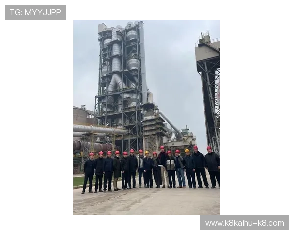 凯发集团简介资料帮助投资者全面了解企业财务状况与合作潜力