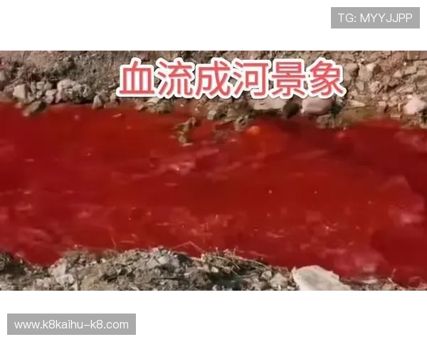 血流成河:从入门到精通的完整攻略指南帮助玩家实现血流成河的胜利